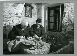 Mezzana, sgusciatura delle noci, FOTO Copyright Roberto Marchisotti Mezzana, sgusciatura delle noci, FOTO Copyright Roberto Marchisotti