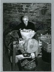 La macina delle mele, FOTO Copyright Roberto Marchisotti La macina delle mele, FOTO Copyright Roberto Marchisotti