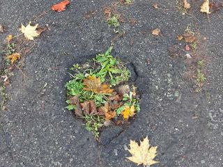 Tu chiamala se vuoi...sicurezza