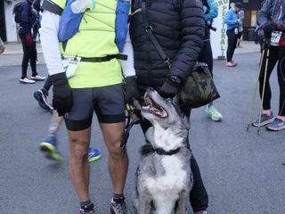 Winter Brich Trail 2026 a Valdengo, più di mille partecipanti tra competitive e camminata FOTO e VIDEO Davide Finatti per newsbiella.it
