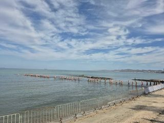 Triathlon, Costanza Antoniotti alla Coppa America di La Paz: 24° posto per l’atleta biellese