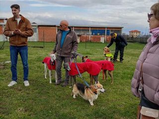 Mongrando Domani: "Rivogliamo il Bau Park"