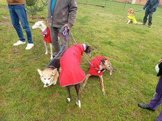 Mongrando Domani: "Rivogliamo il Bau Park"