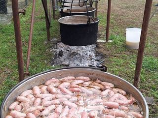 Carnevale a Massazza: dalla corsa alla fagiolata, festa per tutti FOTO Nicola Rasolo per newsbiella.it