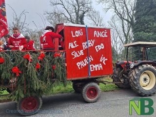 A Netro carri e gruppi mascherati per l'ultimo atto del carnevale 2026 FOTO Nicola Rasolo per newsbiella.it