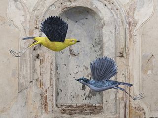 A Biella torna "Selvatica - Arte e Natura in Festival" alla 11° edizione A Biella torna "Selvatica - Arte e Natura in Festival" alla 11° edizione