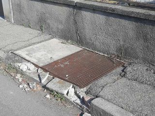 Erba alta e buche in città. Leone: "Biella soffre di una carenza eclatante di manutenzione ordinaria"