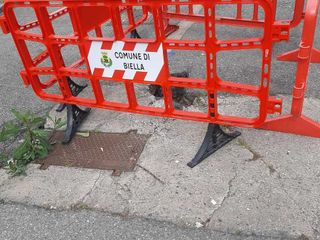 Erba alta e buche in città. Leone: "Biella soffre di una carenza eclatante di manutenzione ordinaria"
