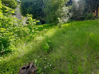 Erba alta e buche in città. Leone: "Biella soffre di una carenza eclatante di manutenzione ordinaria"