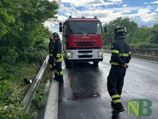 Super, incidente all'uscita di Vigliano, auto finisce nel fosso FOTO Davide Finatti per newsbiella.it Super, incidente all'uscita di Vigliano, auto finisce nel fosso FOTO Davide Finatti per newsbiella.it