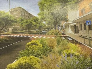 Forestazione urbana: Biella tra i progetti finanziati dalla Regione, ridisegna il suo ingresso tra viali alberati e piste ciclabili Forestazione urbana: Biella tra i progetti finanziati dalla Regione, ridisegna il suo ingresso tra viali alberati e piste ciclabili