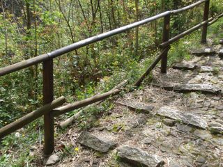 Un momento della corsa (Foto Avis)