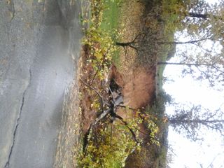 La strada provinciale Lessona - Cossato La strada provinciale Lessona - Cossato