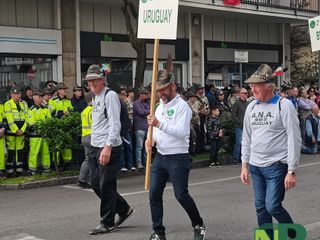 96a Adunata degli Alpini a Biella, le immagini della testa della sfilata dell'11 maggio FOTOGALLERY