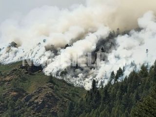 Valessera, l'incendio si propaga a valle: AIB e Vigili del Fuoco in azione Valessera, l'incendio si propaga a valle: AIB e Vigili del Fuoco in azione