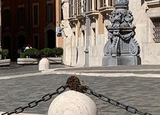Sciame d'api a Montecitorio, transennato pilone all'ingresso Sciame d'api a Montecitorio, transennato pilone all'ingresso
