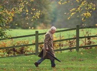 Non solo la vasca di letame, il parco di Sandringham diventa rischioso per i cani