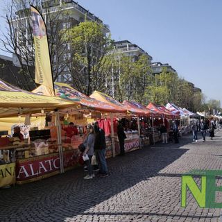 Biella, Mercato internazionale "Regioni d'Europa": un viaggio tra sapori, profumi e tradizioni - Foto di Davide Finatti per newsbiella.it