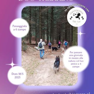 Torrazzo, una passeggiata in compagnia dei vostri amici a quattro zampe
