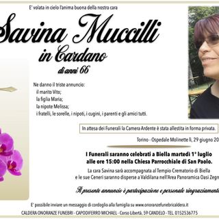 Savina Muccilli in Cardano