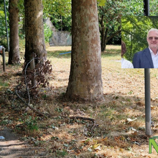 Biella, manutenzione del verde sotto accusa: l’assessore ai Lavori Pubblici Franceschini chiede verifiche e interventi urgenti