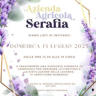 Lavanda in fiore: l’Azienda Agricola Serafia apre le porte al pubblico