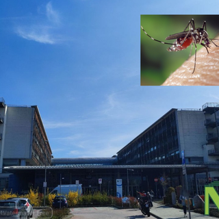 Virus West Nile: cosa sapere e come proteggersi, le indicazioni SISP Asl Bi