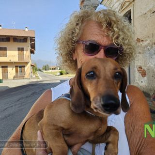 Sandigliano, animali da compagnia benedetti alla festa patronale dell’Assunta FOTO Angela Lobefaro