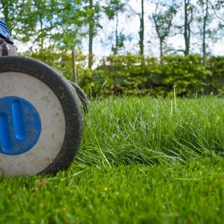 Aiuole ma anche rotonde tra le aree verdi che Verrone da in adozione