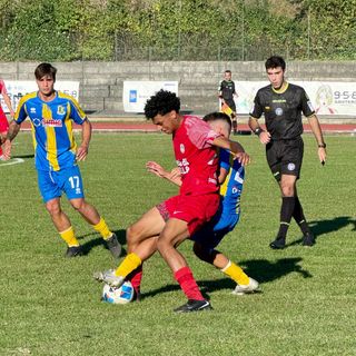 Biellese calcio: i risultati della Serie D, Girone A