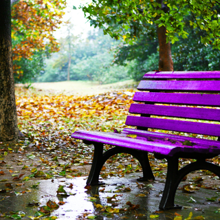A Candelo l’inaugurazione della panchina viola per la Giornata mondiale Alzheimer