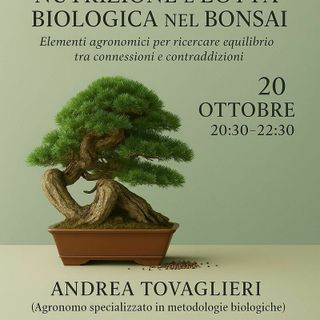 Bonsai, nutrizione e difesa biologica: a Biella il workshop con l’agronomo Andrea Tovaglieri