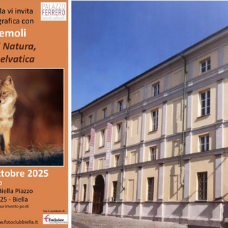 Biella, serata fotografica con Marino Premoli: “Cinque racconti di natura, luce e vita selvatica”