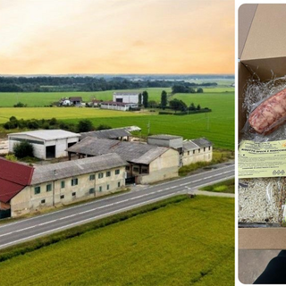 Campagna Agraria 2025: il riso dell’Azienda Agricola Catella diventa eccellenza dolce e salata