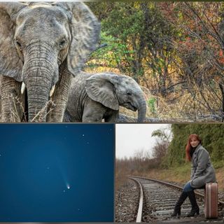 Cerrione, il Fotogruppo Riflessi porta in scena “Emozioni Fotografiche” a Vergnasco