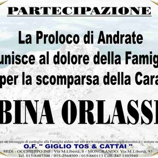 Albina Orlassino, partecipazione