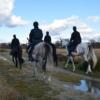 Spaccio nei boschi, i Carabinieri a cavallo presidiano il Biellese