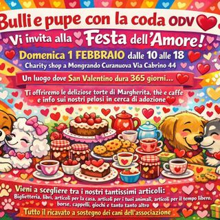 Al  Charty Shop di Bulli e Pupe con la Coda Odv la Festa dell'Amore