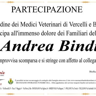 Andrea Bindi - Partecipazione