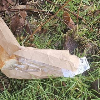 Pane tra i rifiuti lungo la SP 211: "Un tempo ci insegnavano che non si butta mai"