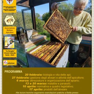 Biella, api e ambiente, al via il corso di apicoltura 2026