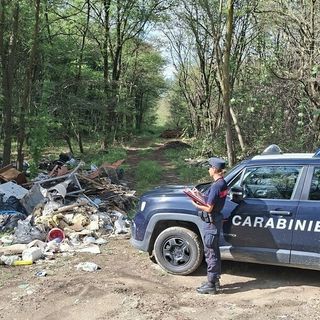 Dal Nord Ovest - Mezza tonnellata di rifiuti abbandonati in un bosco, 4 denunce e multa da 12mila euro