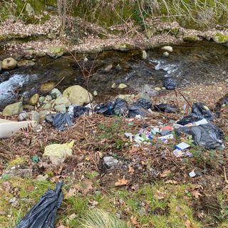 Sagliano, rifiuti abbandonati nel rio Morezza, il sindaco tuona: “Grave e irrispettoso episodio”