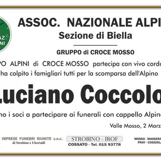 Luciano Coccolo - Partecipazione