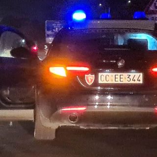 Mongrando, spunta animale selvatico sulla strada: l'auto lo travolge nella notte (foto di repertorio)