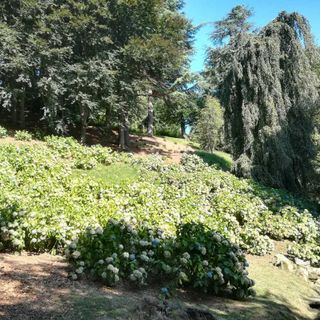 Pollone, al Parco Burcina ci sarà la Passeggiata Silenziosa al Chiar di Luna (foto di repertorio)