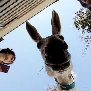 Più di mille per festeggiare il Rifugio degli Asinelli