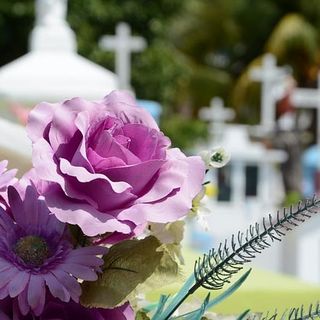cimitero viverone