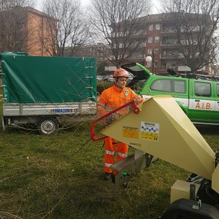 Alberi pericolanti al Parco dell'Oca, intervengono i volontari dell'AIB VIDEO
