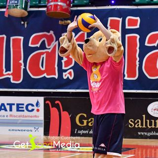 Bear Wool Volley 2023, i risultati delle prime finali